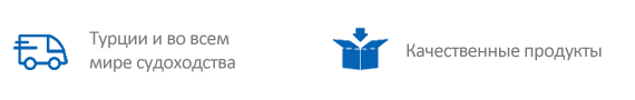 Web Site